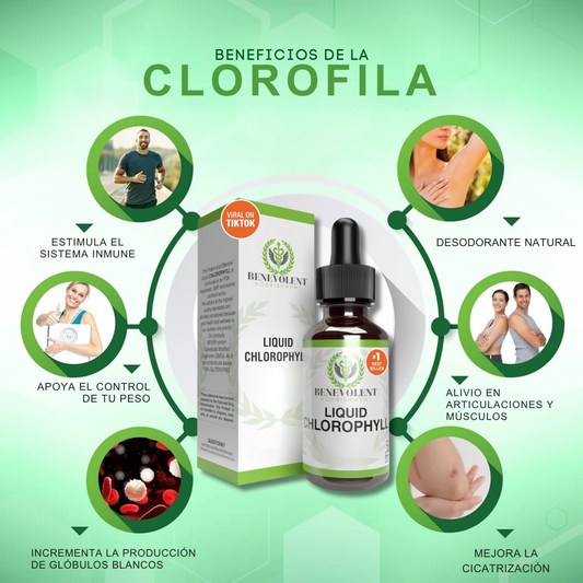 Clorofila Glow Detox